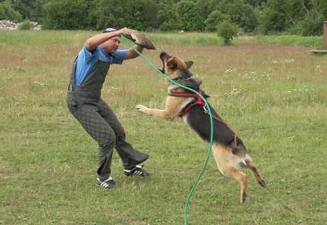 Training in Estonia 6/2007